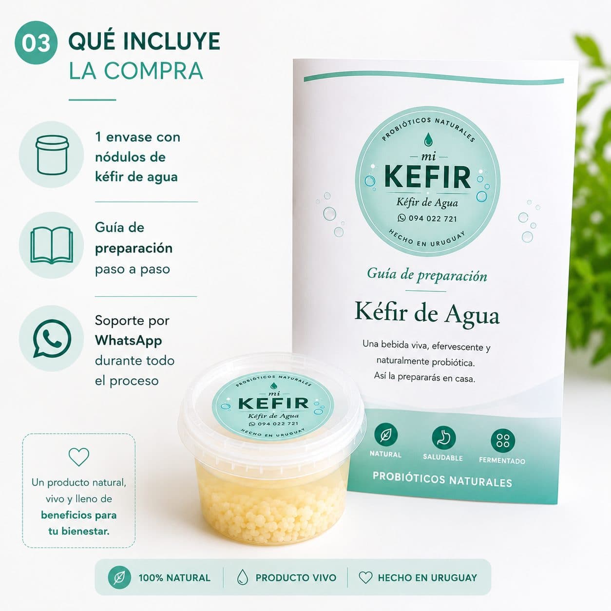 Kefir x2